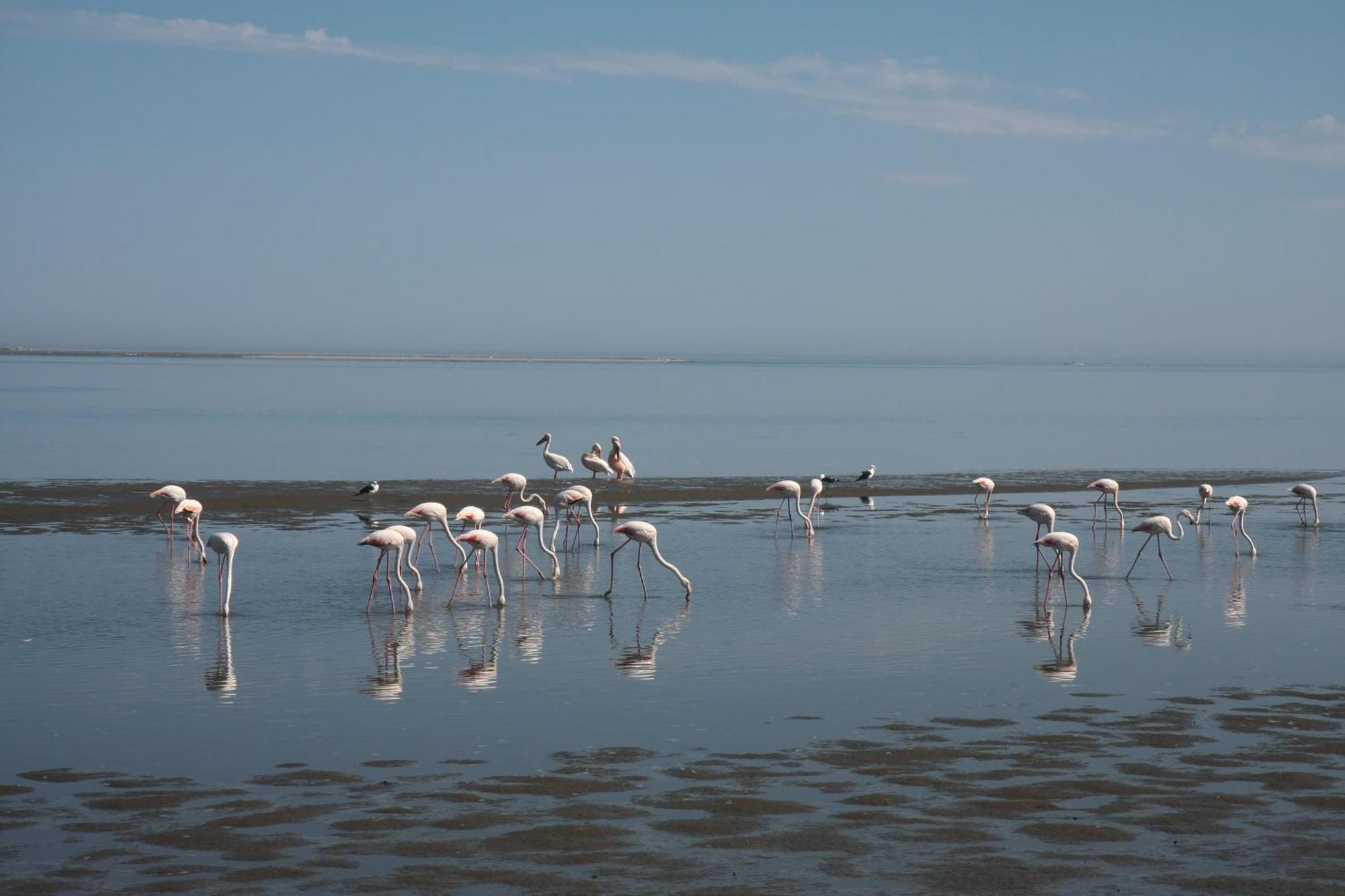 Lagoon Lodge Walvis Bay Exterior foto